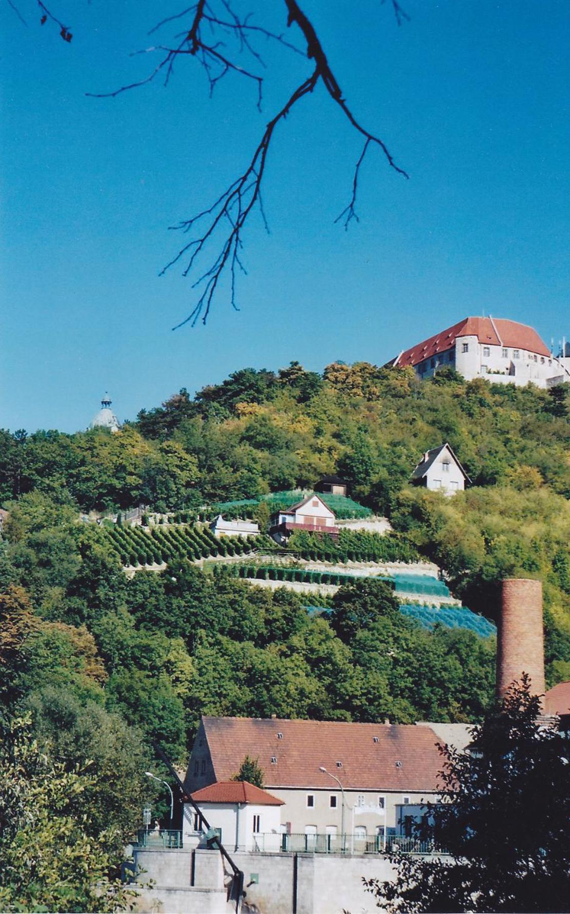 Hotel Garni Zum Rebstock Naumbourg Extérieur photo