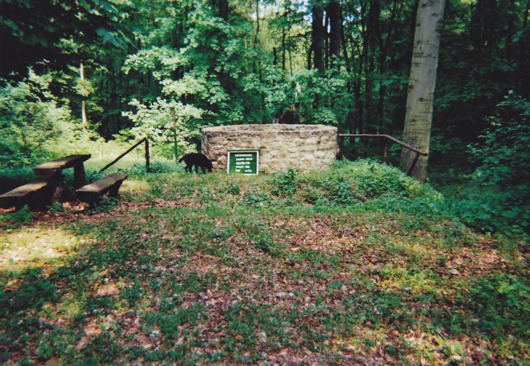 Hotel Garni Zum Rebstock Naumbourg Extérieur photo